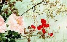 本命年属兔人如何避免不祥之事?探索兔人的忌讳和传统文化的影响