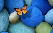 属猪的与哪些属相不相配?哪些属相不太适合属猪?