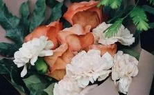 - 十二星座对爱情的渴望程度与表现方式差异大:破解星座恋爱密码