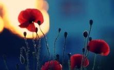 1989年生蛇人的命运预测:与羊相冲还是与鼠相克?