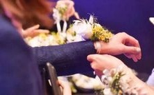 挑选宠物时,这些星座特别有眼光,为何不从它们的角度看看养宠须知呢?