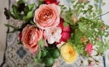 深入解析:男性处女座二区和女性天秤座二区配对的适合性及其关键因素