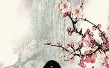 2023年属猴人全年运势展望及注意事项:健康、财运、感情、事业皆详细分析