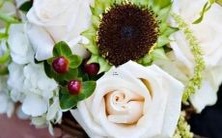 从星座角度来看,男摩羯水瓶座和女巨蟹狮子座的配对:性格相异的挑战还是星座匹配的优势?