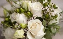 鱼座男二区和射手座女三区组合:探究星座之间的爱情奥秘