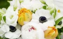 预测2022年桃花旺的星座将会接收大量爱情好消息