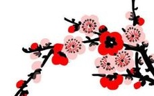 预测:2023年生肖属兔的人将会遭遇犯太岁之灾难