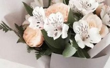 天秤男和哪个星座最相融合并具有完美的配对关系?