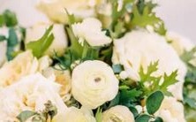 详解白羊座与所有其他星座的相互关系及其影响