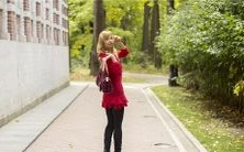 睡梦中观赏:惊艳的场景如实再现,探索巴西大地,惊险刺激的镜头描绘出游泳中的一条巨蟒!