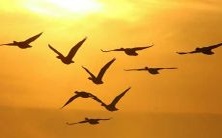 梦见我和我的父亲:从亲情角度探究父子关系的真谛