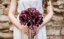 探究处女座性格:深入分析其真实本质