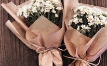 天秤座中的正缘与孽缘星座及其影响解析