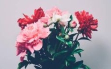 揭秘:探索十二星座潜能,揭示无限可能!