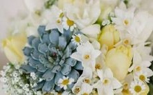 天蝎座男性和射手座女性与水瓶座女性和双鱼座女性的星座配对探究:相似之处、互补性和挑战性