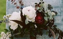 的比较及优缺点分析:两者星座特质对配对关系的影响和可能出现的问题探究