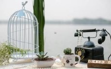 探寻生日书中蕴含的奥妙:揭秘2月23日生日的星座特质及个性——双鱼座