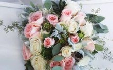 男双鱼座和女白羊座与女射手座的配对比较:探索星座之间的相互作用和相容性