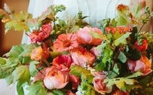 男性出生于天秤座第一区域,与女性出生于水瓶座第三区域的配对探究