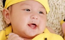 一篇关于经典鸡年女孩姓名的文章,以刘姓为主题的研究