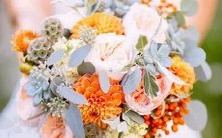 这个星座喜欢撒娇,但不会过分矫情,拥有活泼性格,且懂得把握好尺度