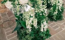 部特征和穿衣风格:探讨十二星座女性的身材特征及其对穿衣风格的影响