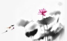 如何通过新生儿的生辰八字来选择合适的名字?