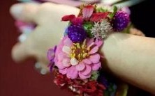 男性双子座居于区域一,女性双子座居于区域二,二者配对展现的完美组合如何?