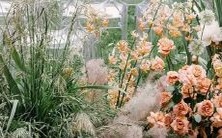 探寻十二星座内心的怒火,揭示为何他们会暴怒甚至爆发,以及如何掌控情绪,实现心灵平衡