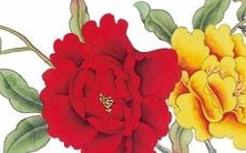 的职业发展策略和个人成长计划:从加强自身素质到提升领导能力,科学规划未来路程