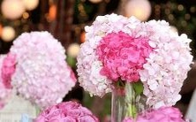 揭示2017年发生巨大变革和转变的12个星座,让你明白数字、财运、爱情和职业领域的机遇!