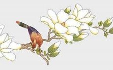 2023年属蛇人的兔年运势分析及预测