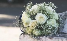 开始?了解十二星座初恋开始的最佳时间!