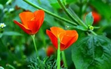 在梦中看到自己的丈夫乘坐过山车的场景