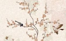 属羊人在2023年将年龄增长,到底会多大呢?