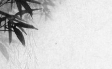 探讨2023年属兔生宝宝的优劣之处:值得期待还是需警惕?