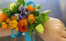 的星座是哪个?探讨水瓶座最匹配的星座搭配