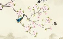 2023年属兔的人中,哪个月出生的命运最佳?