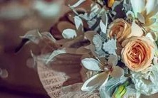 研究表明:狮子座和巨蟹座的配对潜力有多大?这两个星座之间的互相包容和谐如何?