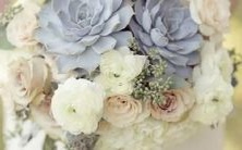 探究巨蟹座和处女座在爱情中可能达到的完美缘分指数