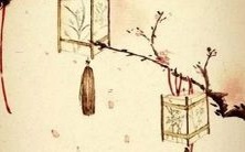 摩羯座人真实性格深度剖析:探寻星座特质与行为表现的真相