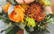 探究哪些星座男性展现出妩媚美态,哪些星座女性呈现出豪迈气质的配对大揭秘