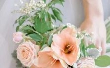 12星座成熟度排名:分析12种星座的成年特质和稳定性,揭示人类性格的多维度表现