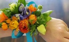 ——探寻星座女的优势,揭秘她们赢得背后的秘密