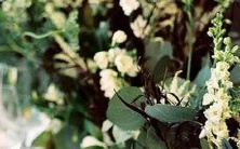 探索星座女性中性欲最旺盛的星座特征:深度揭秘!