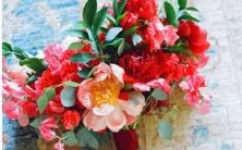 星座匹配探究:男双鱼白羊座与女水瓶座的一区配对效果如何?