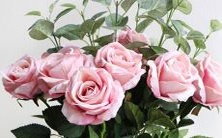 在个人成长中,十二星座需要克服的缺点是哪些方面呢?