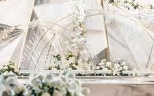 分析12星座中,哪个星座拥有最为天真浪漫的特质