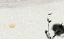 探索古代文化之美——收集优美的古诗经名称