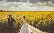 通过在线查询,获取两人的星座排盘结果